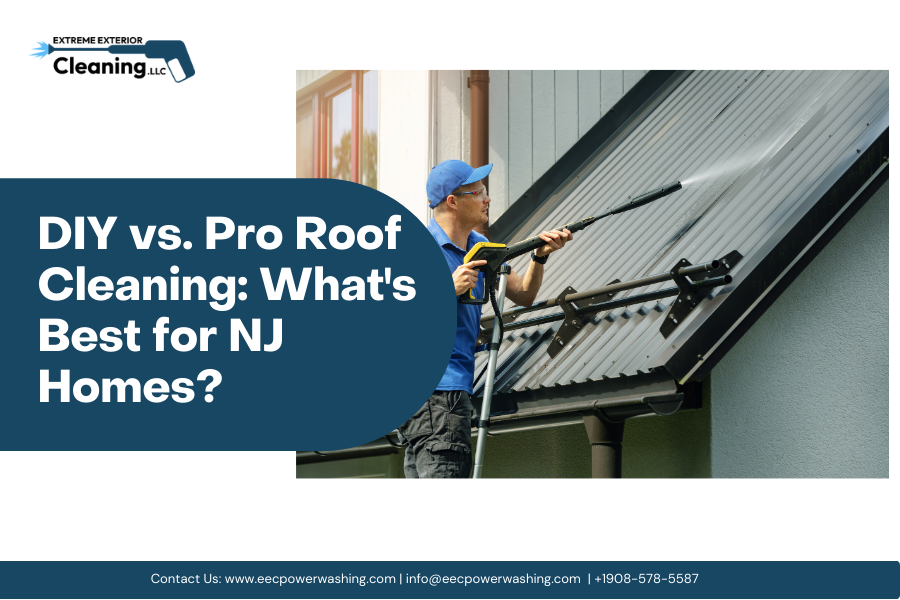 roof cleaning services nj